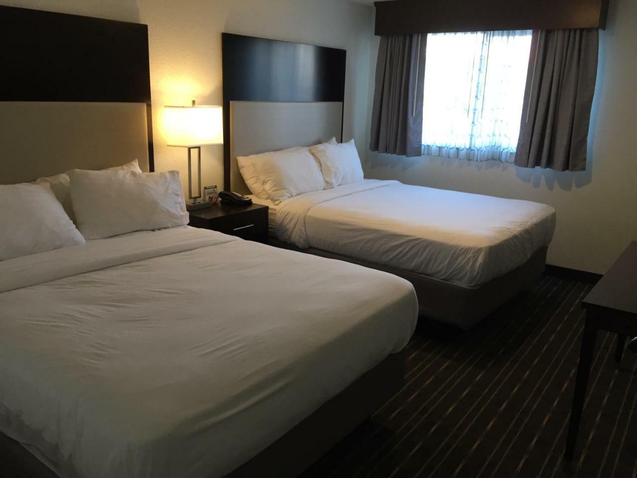 Comfort Inn & Suites Tigard Near Washington Square Eksteriør billede