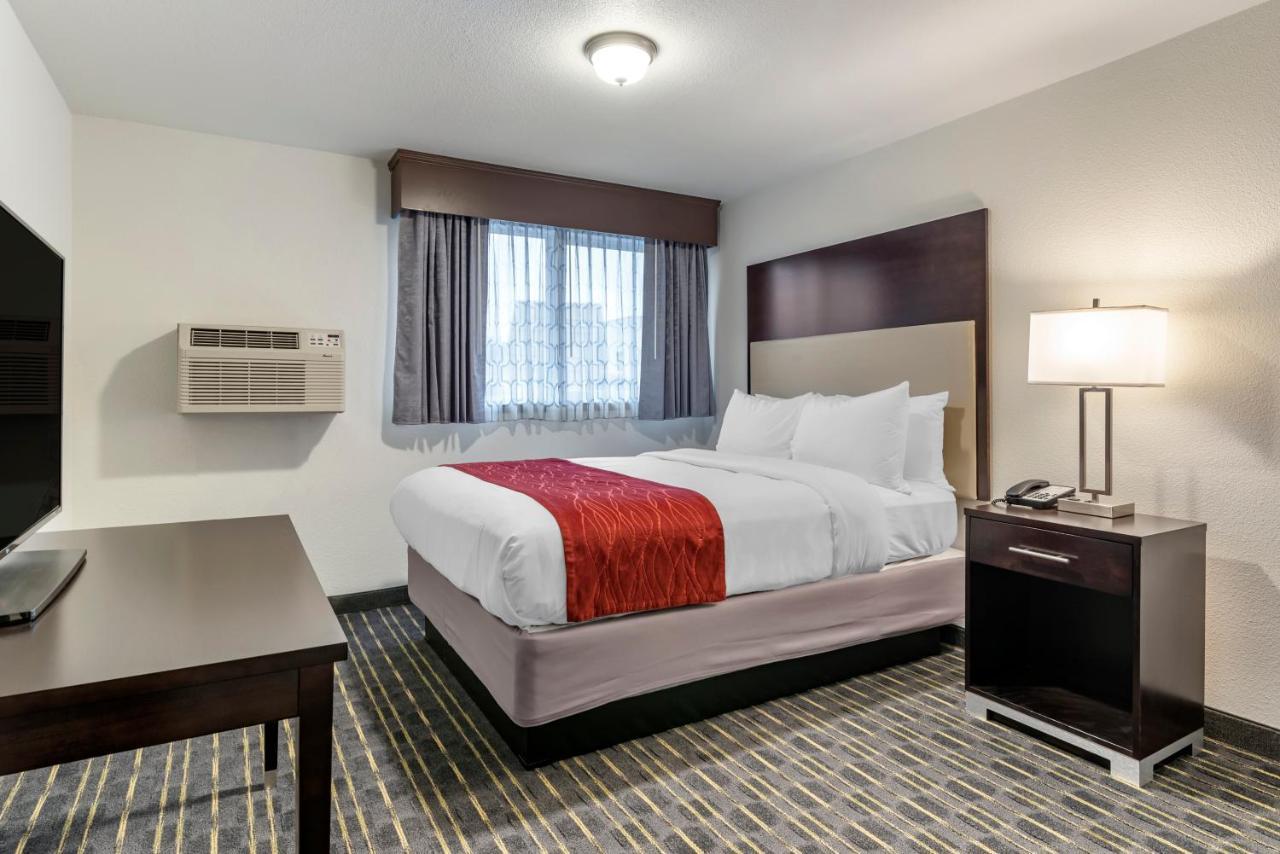 Comfort Inn & Suites Tigard Near Washington Square Eksteriør billede